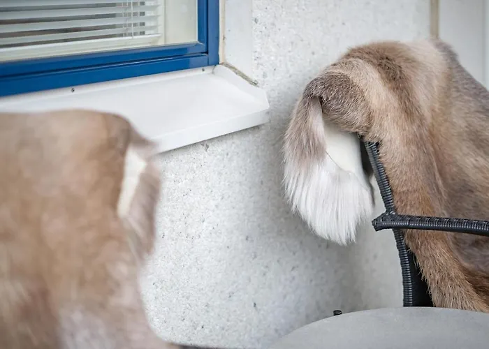 Arctic Nook - Sauna And Parking Rovaniemi